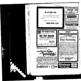 PassauNewspaper 8