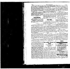 PassauNewspaper 6