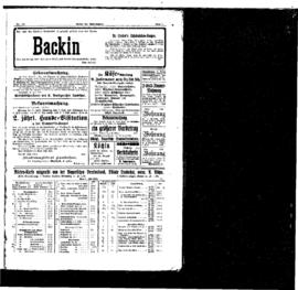 PassauNewspaper 7