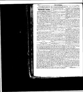 PassauNewspaper 4