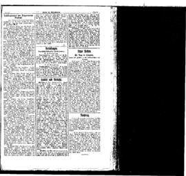PassauNewspaper 5