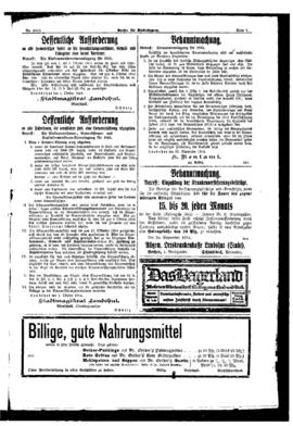 PassauNewspaper 7
