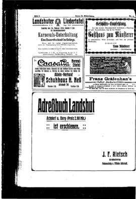 PassauNewspaper 8