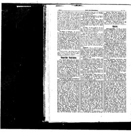 PassauNewspaper 4