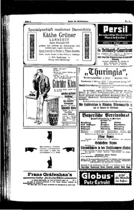 PassauNewspaper 8