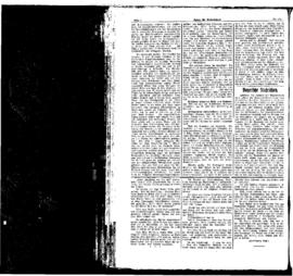 PassauNewspaper 2