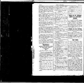 PassauNewspaper 6