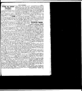 PassauNewspaper 5