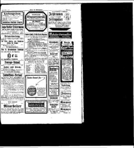 PassauNewspaper 7