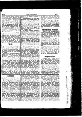 PassauNewspaper 3