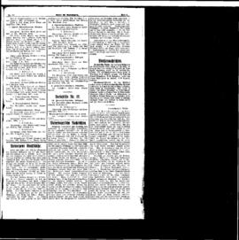 PassauNewspaper 5