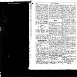 PassauNewspaper 4