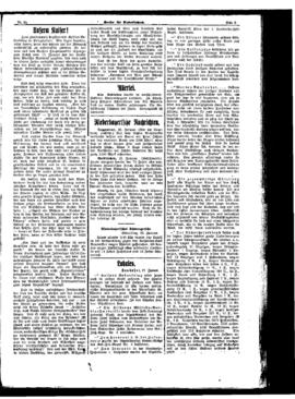 PassauNewspaper 5